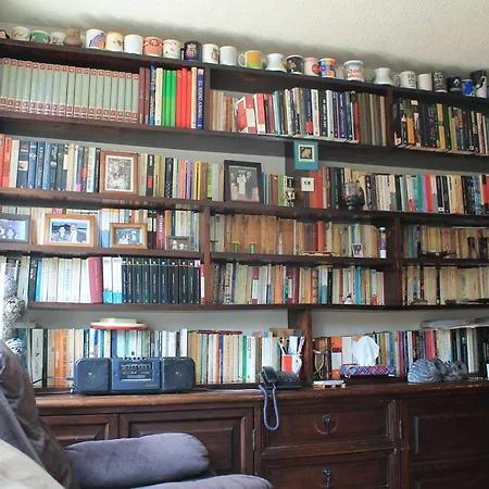 Habitaciones Para Profesionistas
